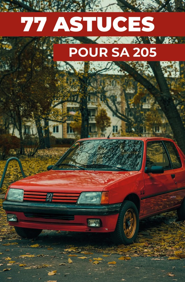 77 ASTUCES POUR SA 205